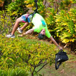 guides show you ways to zip