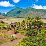stunning views of Maui, Hawaii